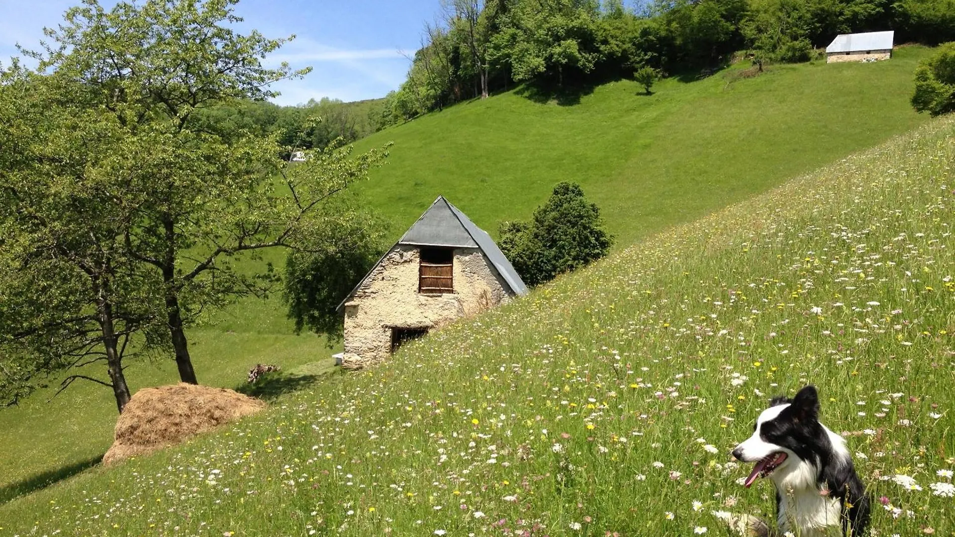 Holiday home Vie D'Estive Villa Bagneres-de-Bigorre